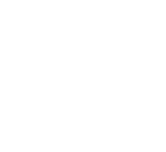 view full bio